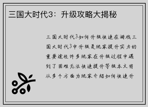 三国大时代3：升级攻略大揭秘